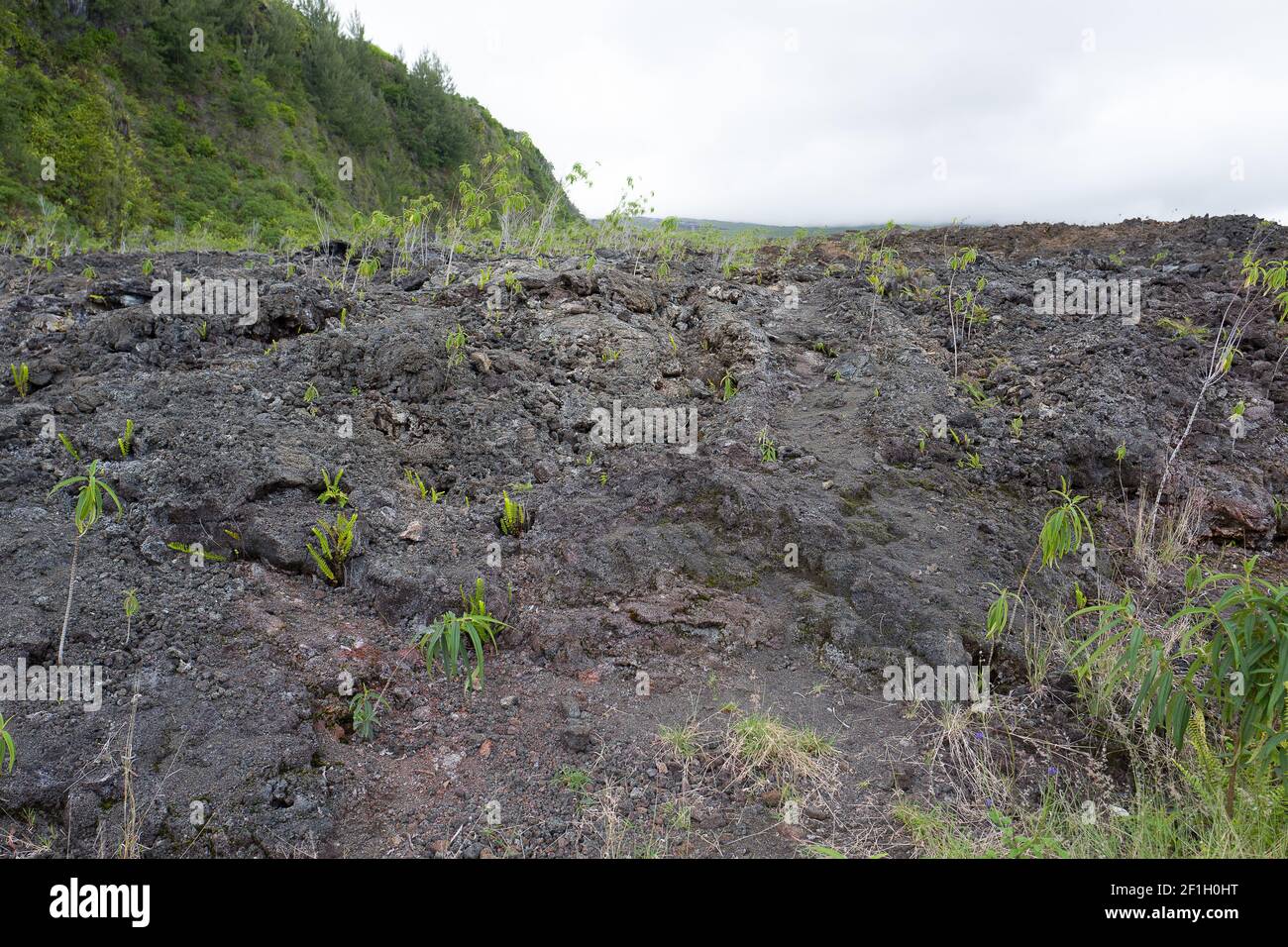 Kalte Lava - Reisen auf La Réunion Island Stockfoto