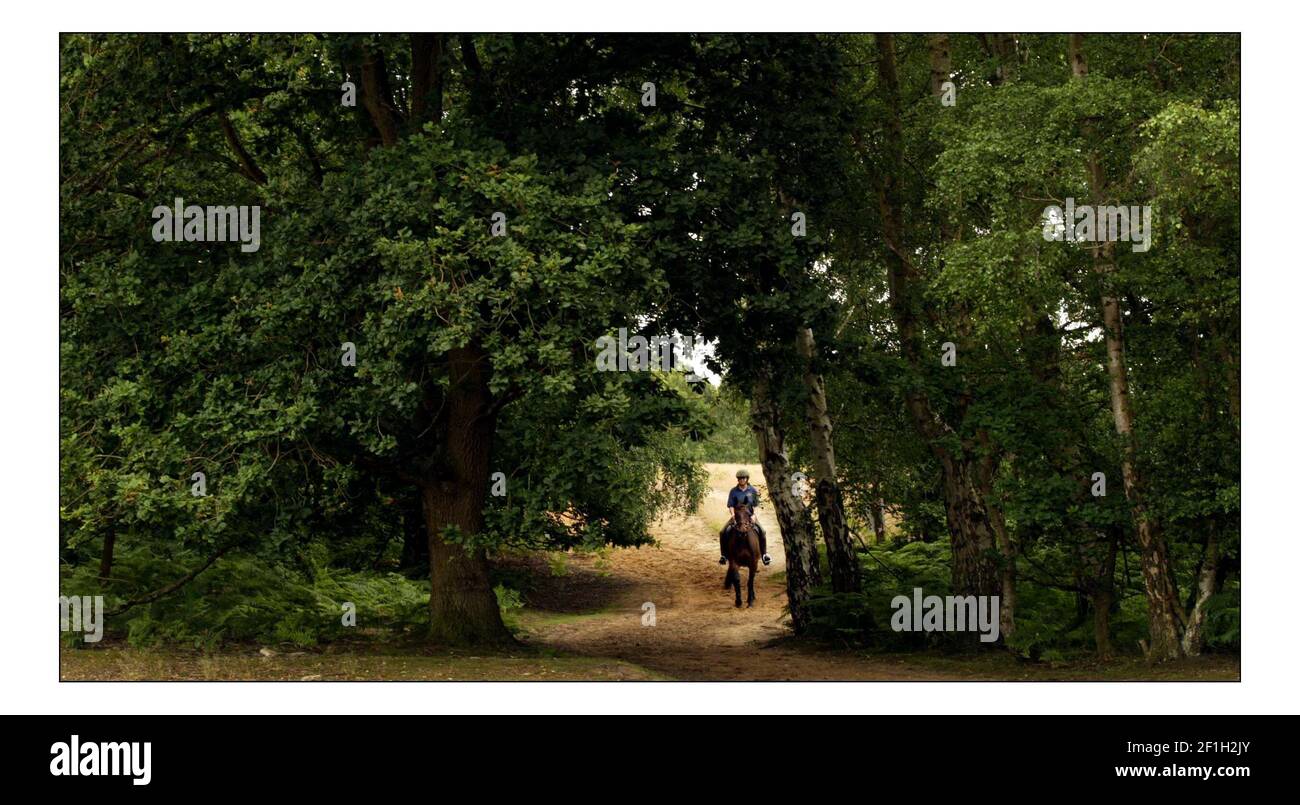 Blackheath gemeinsame, wo der Herzog von Northumberland will eine Erdgas-Plattform installieren. Die meisten Anwohner sind gegen die Pläne.pic David Sandison 1/7/2005 Stockfoto