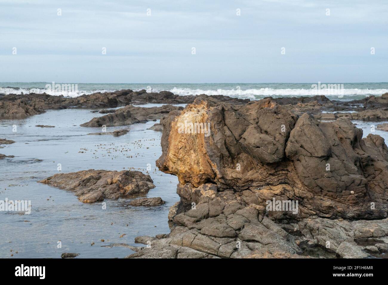 Curio Bay Cliffs und Porpoise Bay, der Ort von prähistorischen versteinerten Baumstämmen und einem versteinerten Wald an der Küste des südlichen Pazifischen Ozeans Stockfoto