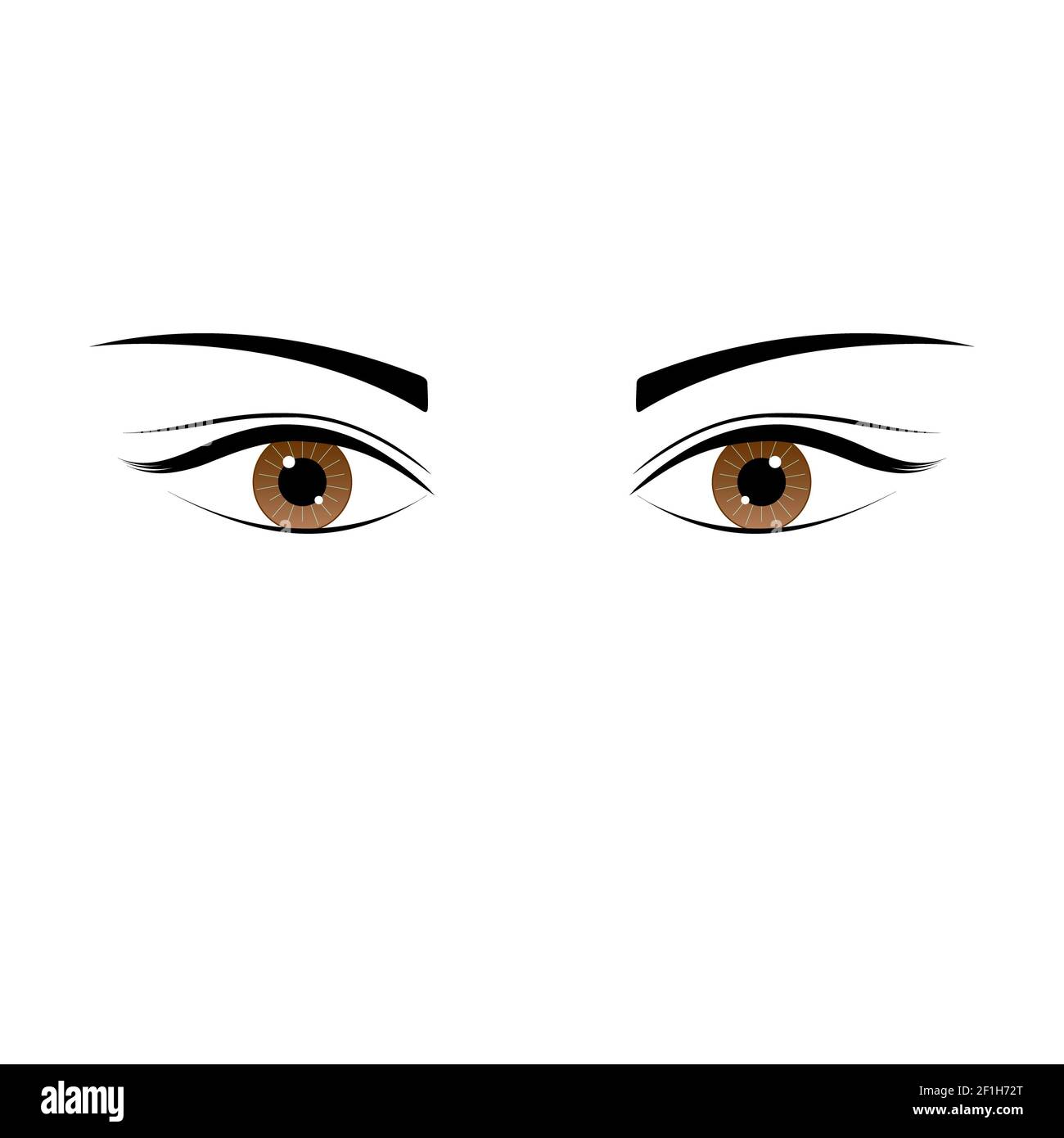 Eine schöne braune Farbe kaukasischen weiblichen Auge weit geöffnet mit Augenbraue und Wimpern. Stockfoto