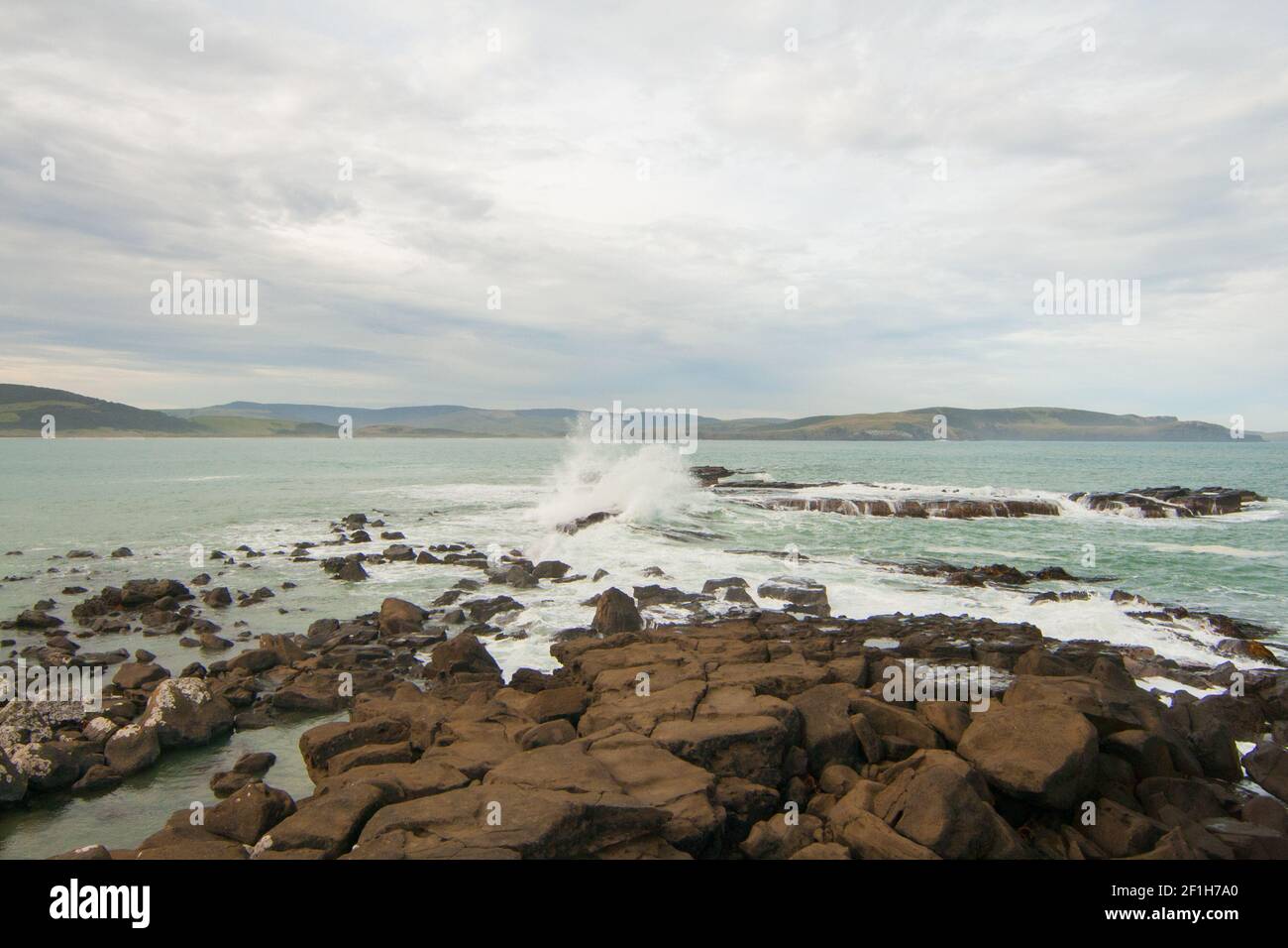 Pazifische Ozeanwellen, die an Felsen zerschmettern und Wasser in der Porpoise Bay von Neuseeland, den Catlins, spritzen Stockfoto