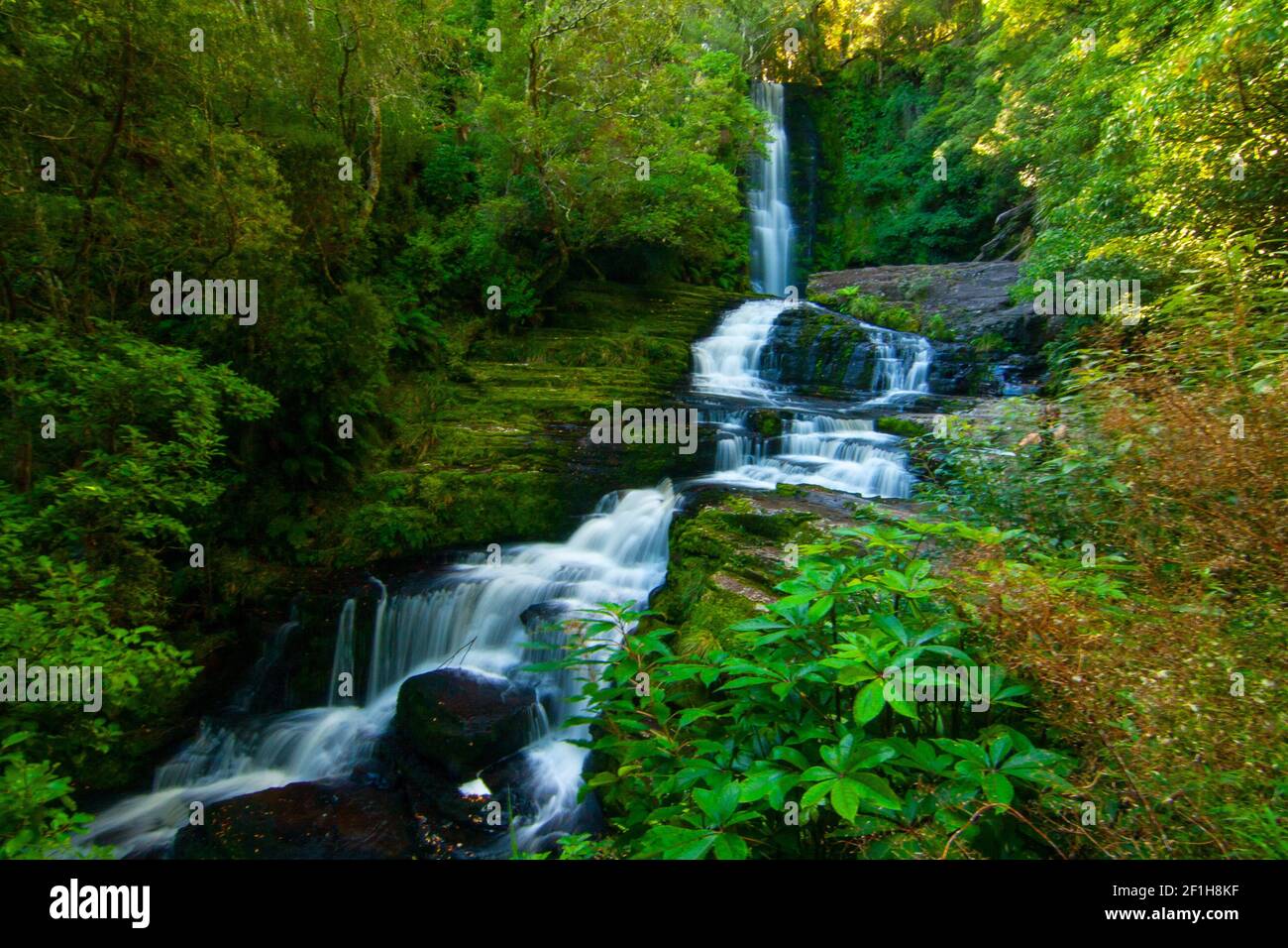 Die McLean Falls, Wasserfall in reinem grünen Regenwald, Tautuku River in Catlins Forest Park, South Island Neuseeland Stockfoto