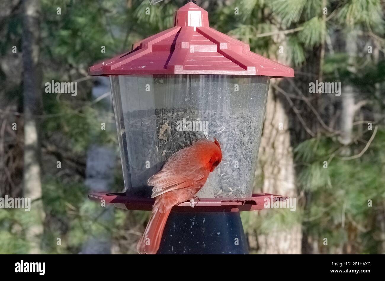 Woolwinephotography.com Stockfoto