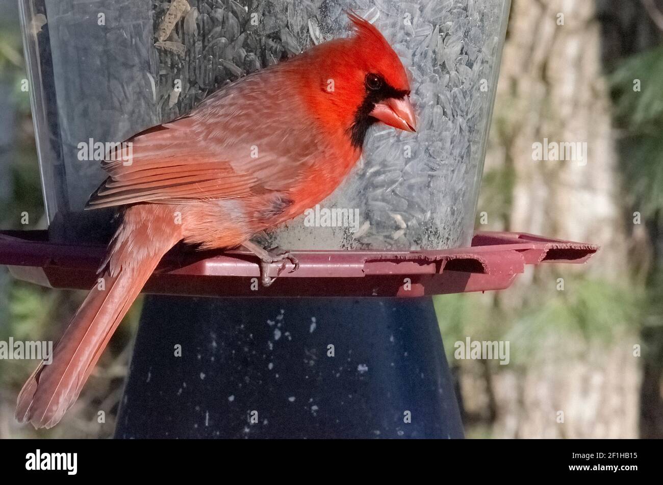 Woolwinephotography.com Stockfoto