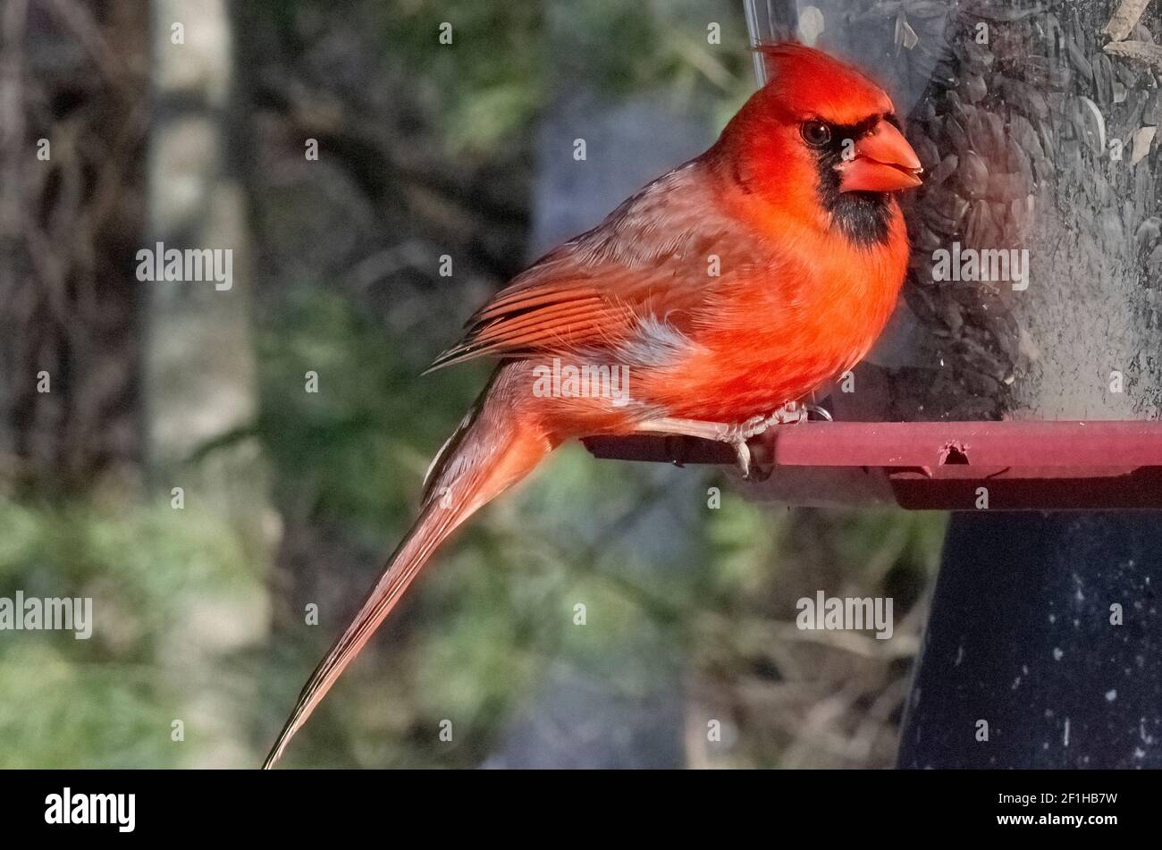 Woolwinephotography.com Stockfoto