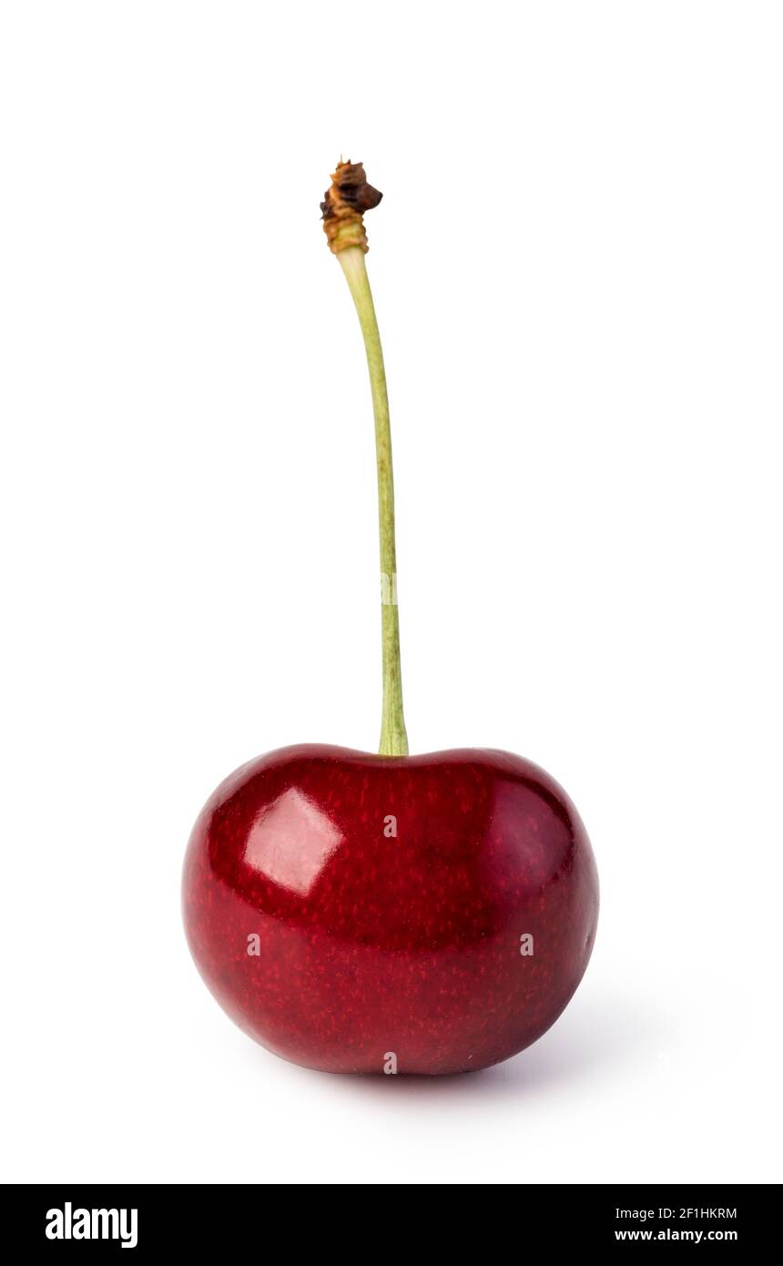Kirschen Stockfoto