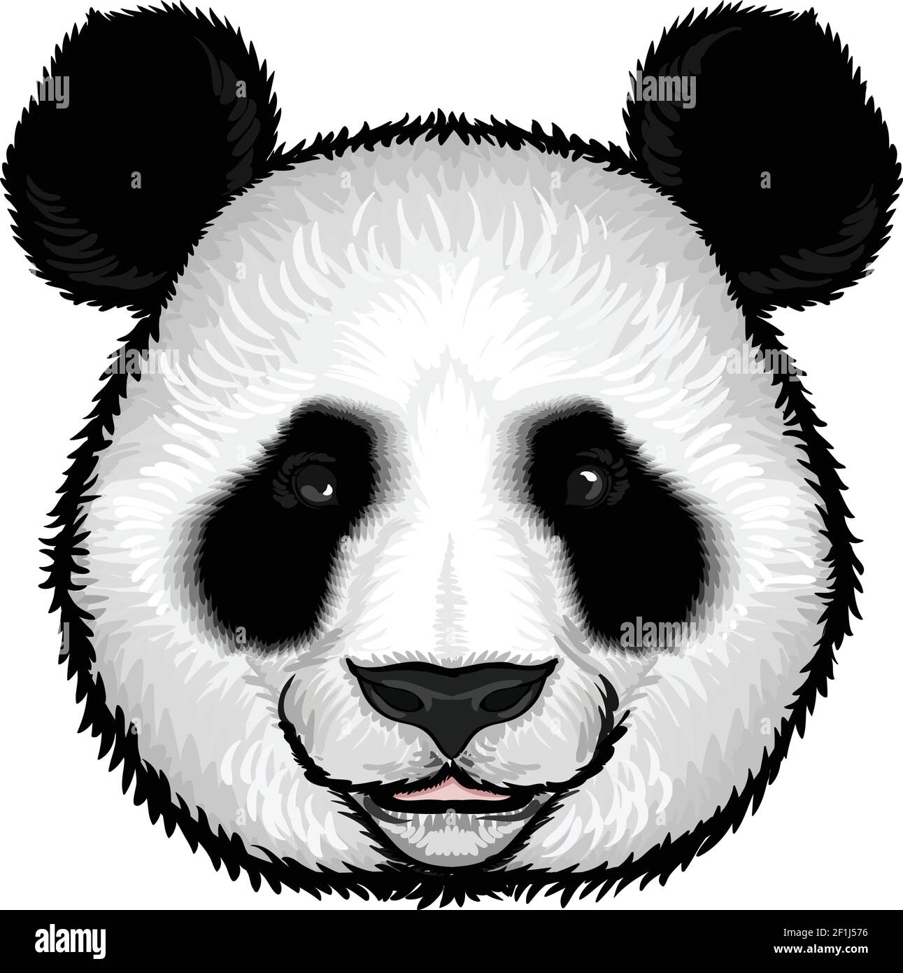 Cute flauschige Panda Gesicht in Hand gezeichnet Stil auf weiß Hintergrund  isolierte Vektorgrafik Stock-Vektorgrafik - Alamy