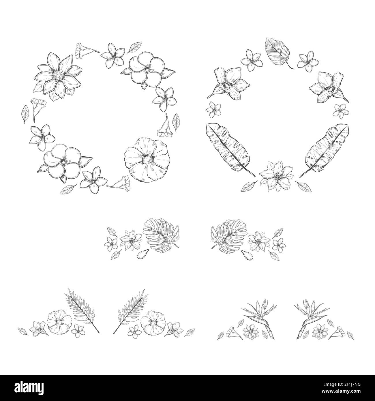 Skizze monochrome florale exotische Pflanzen Kollektion mit Kranzen und Dekorationen Von Blumen und Pflanzen isoliert Vektor-Illustration Stock Vektor