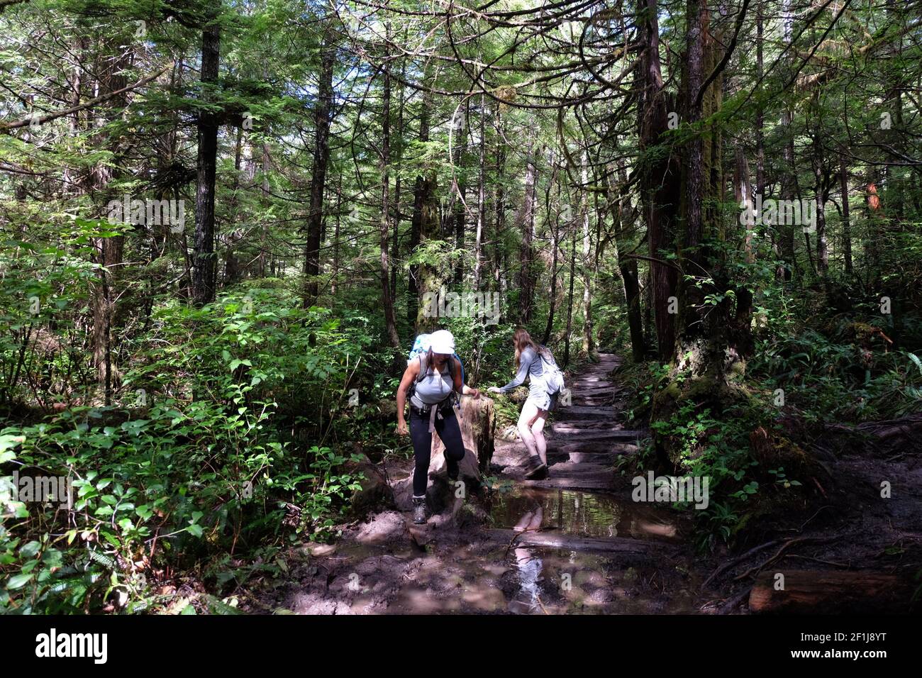 Zwei Frauen wandern im Wald. Stockfoto