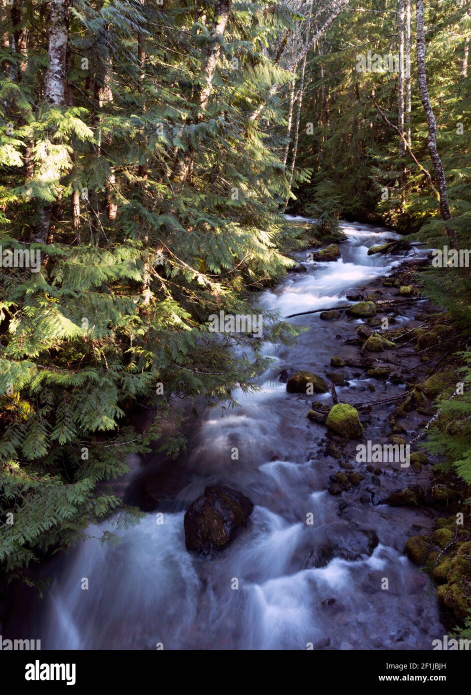 Der Zigzag Fluss in der Nähe von Mt. Kapuze in Oregon. Stockfoto