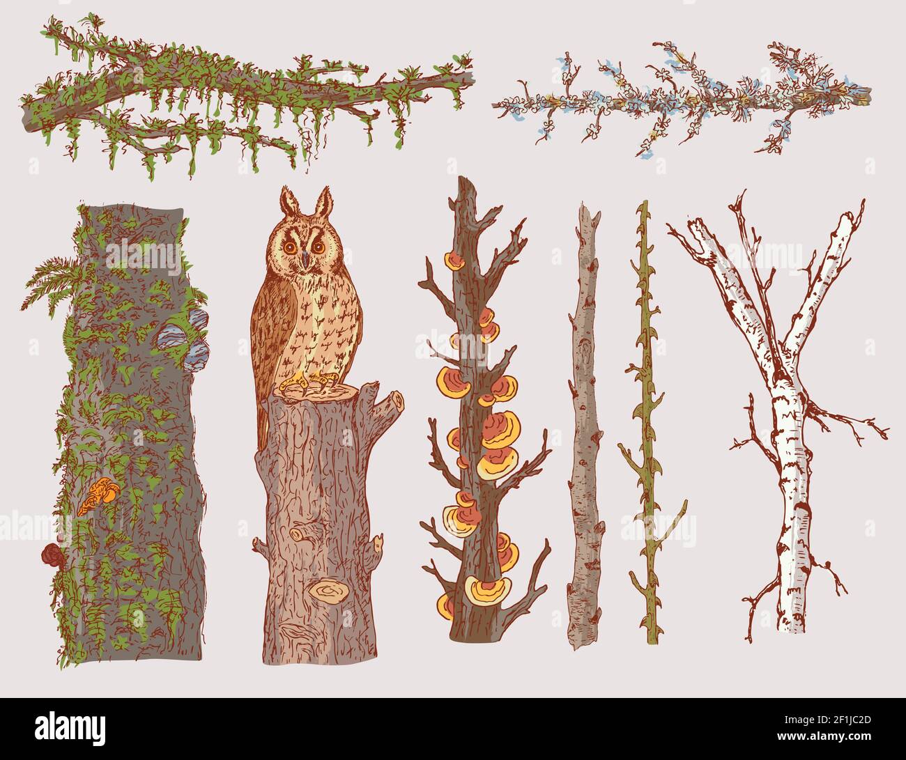 Handgezeichnete Waldbäume mit natürlichen Ästen Stämme und gesetzt Eule sitzt auf Stumpf isoliert Vektor-Illustration Stock Vektor