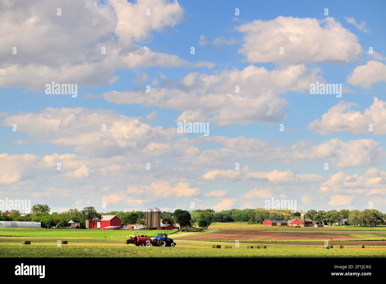 Burlington, Illinois, USA. Ein Traktor, der in einem Feld mitten auf dem Land frisch Heu schneidet und ballt. Stockfoto