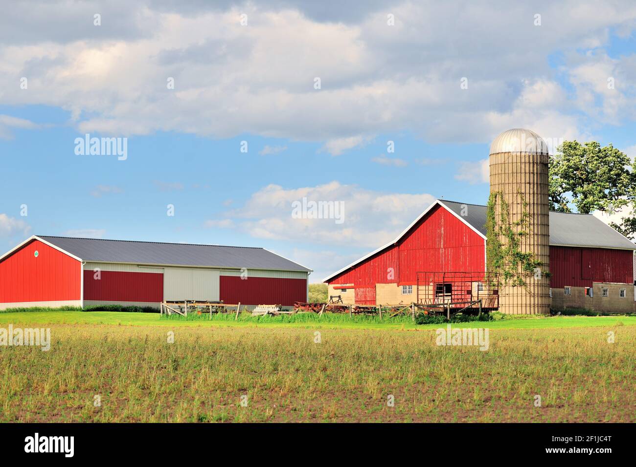 Burlington, Illinois, USA. Rote Scheune und große Schuppen bieten eine ruhige Lage auf einem Bauernhof im Nordosten von Illinois. Stockfoto