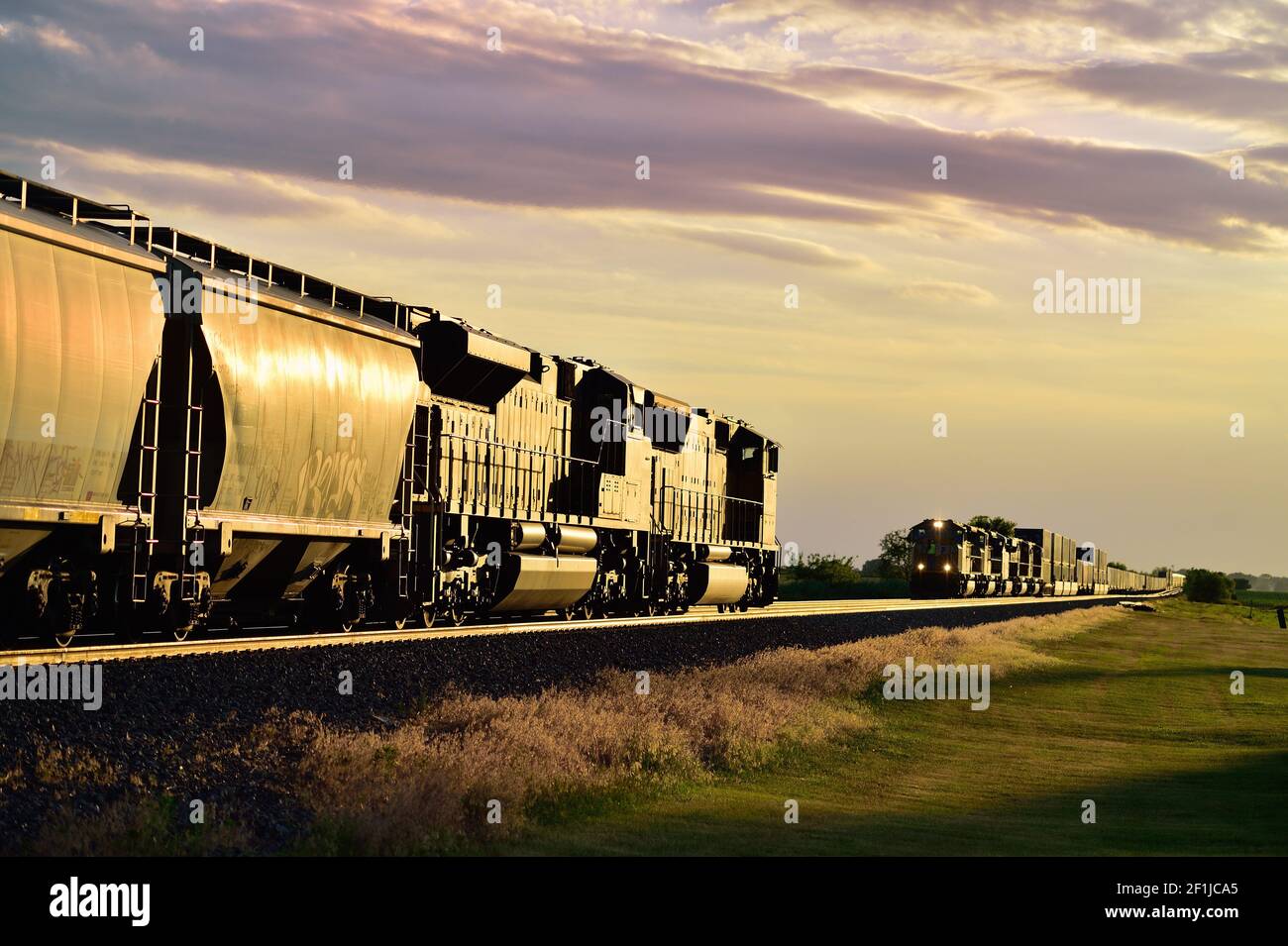 Maple Park, Illinois, USA. Zwei Union Pacific Güterzüge nehmen auf einem goldenen Guss von der untergehenden Sonne, während sie auf der Illinois Prärie treffen. Stockfoto