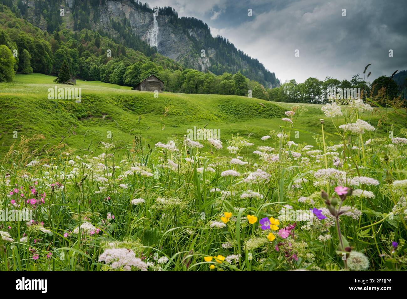 Bunte Wildblumenwiese und alte Hütte in einer Berglandschaft Mit Wasserfall Stockfoto