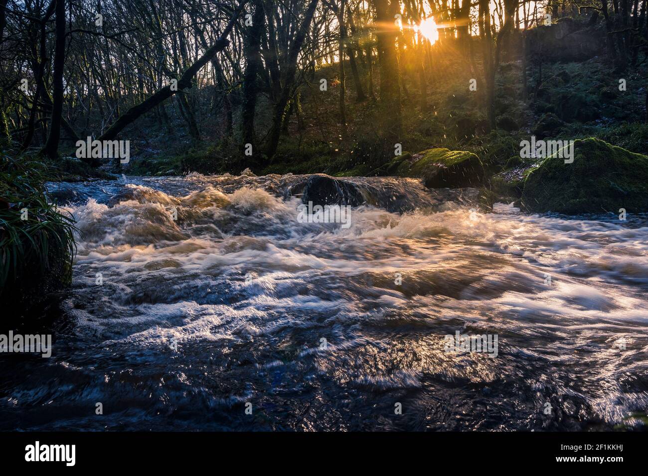 Am späten Nachmittag Sonnenlicht während der Fluss Fowey fließt entlang Golitha Falls in der historischen und alten Wald Draynes Wood in Cornwall. Stockfoto