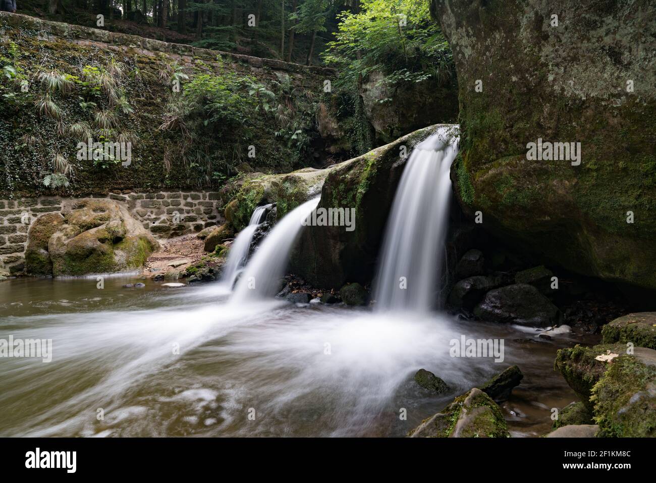 Idyllischer kleiner Wasserfall in üppig grüner Waldlandschaft Stockfoto