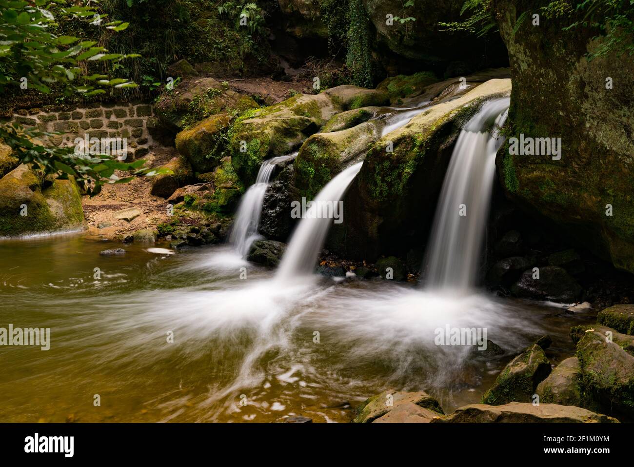Idyllischer kleiner Wasserfall in üppig grüner Waldlandschaft Stockfoto