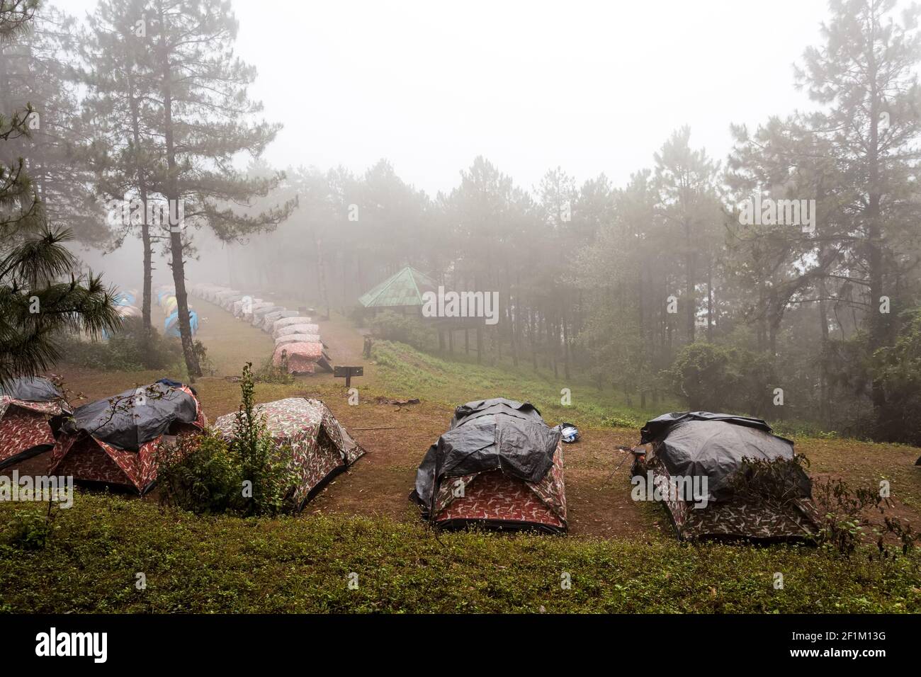 Kuppelzelt Camping im Nebelmeer im Doi Pha Hom Pok National Park, Thailand. Stockfoto