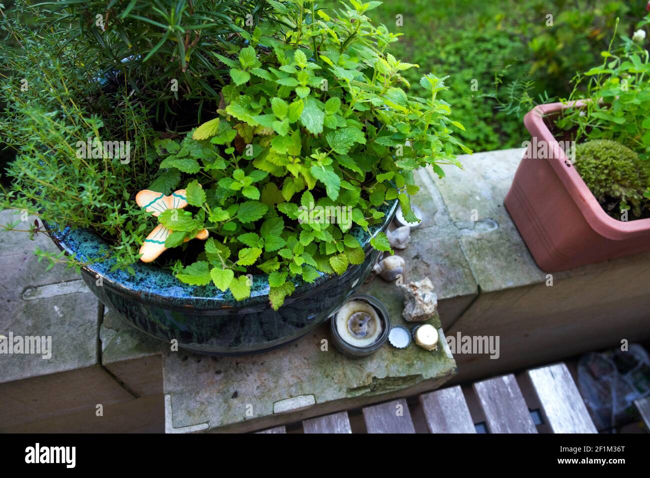 Kräuter balkon minze Fotos und Bildmaterial in hoher Auflösung Alamy