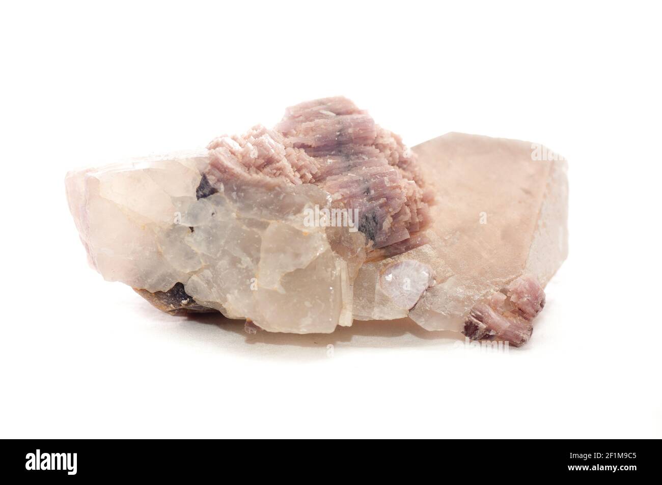 Lepidolite pink Crystal mineral Probe, eine Seltene Erden Mineral Stockfoto