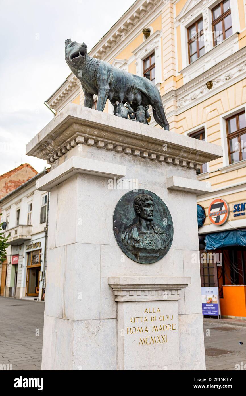 Kapitol Wolf Statue auf Eroilor Boulevard in der Altstadt von Cluj-Napoca in Siebenbürgen, Rumänien Stockfoto