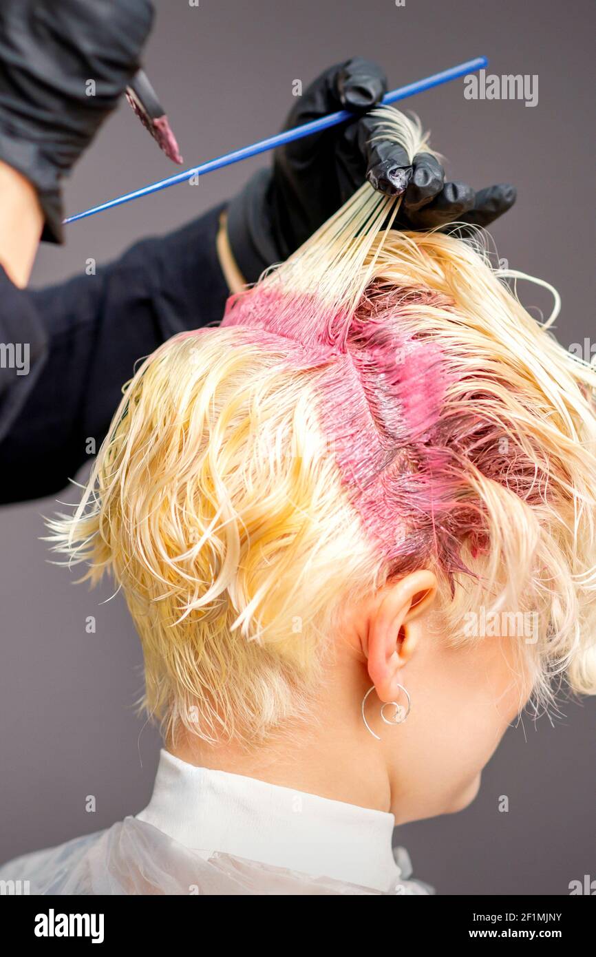 Nahaufnahme der Friseurhände Anwendung rosa Farbstoff auf Frauen Blonde Haare in einem Friseursalon Stockfoto
