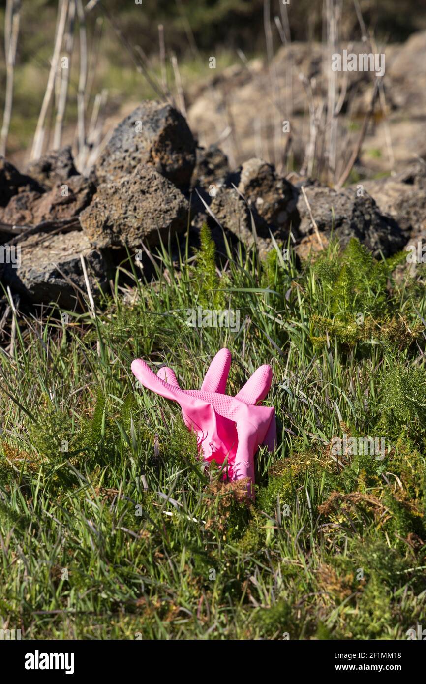 Rosa Gummihandschuh von einer Steinmauer in der Landschaft in der Nähe von San Jose de Los Llanos, Teneriffa, Kanarische Inseln, Spanien weggeworfen Stockfoto