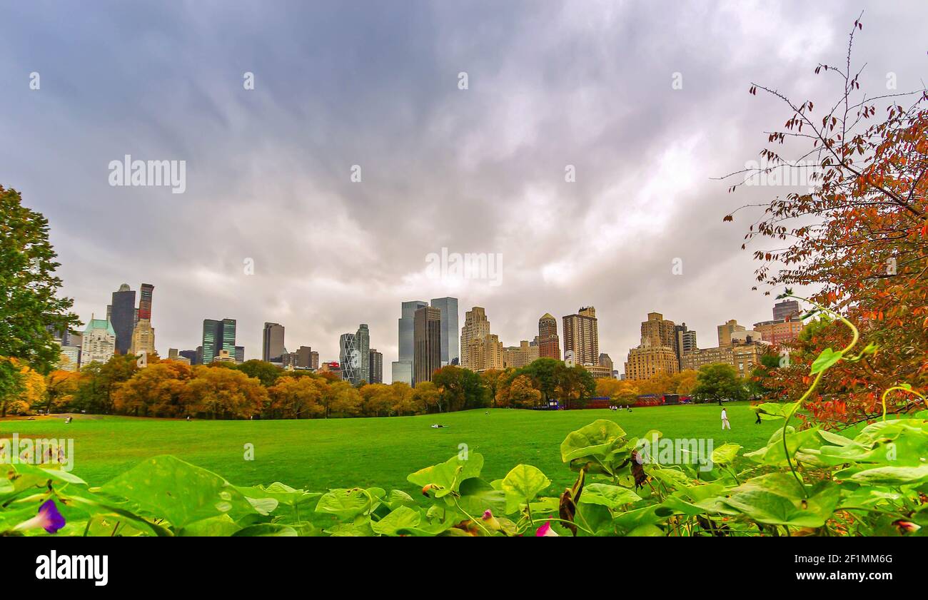 Manhattan Skyline im Central Park in New York, USA Stockfoto