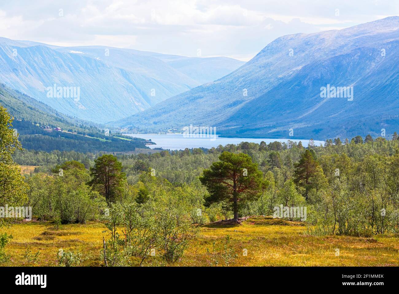 Tal Storlidalen und Berggebiet Trollheimen in Norwegen Stockfoto