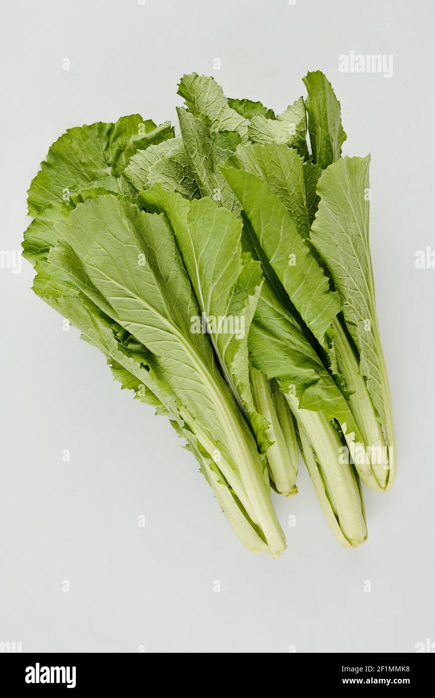 Stapel von grünen saftigen knackigen Salatblättern auf hellgrauem Hintergrund, Blick von oben Stockfoto