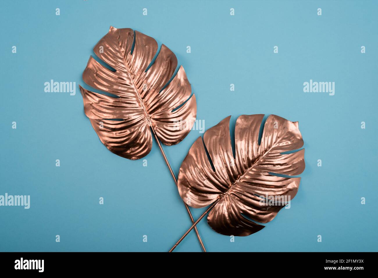 Gold Monstera Blätter. Luxuriöse, goldfarbene tropische Blätter von oben. Hallo, Sommer minimalistisches Konzept. Stockfoto