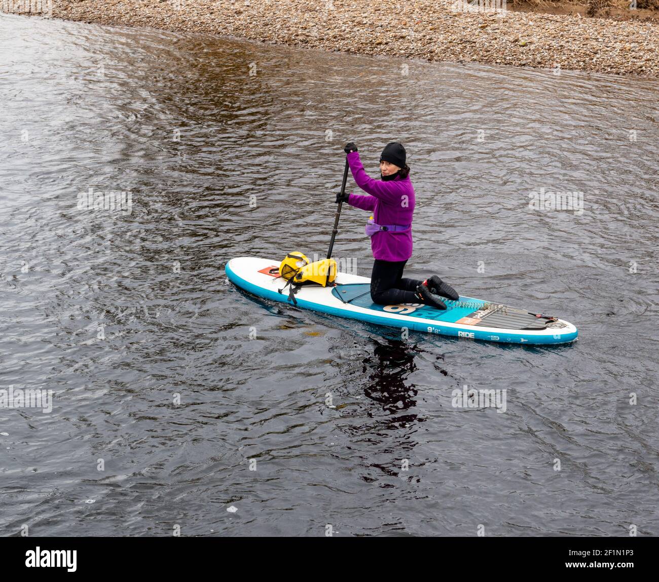 Winteransicht einer weiblichen Paddlebarderin eingewickelt gegen die Clod auf dem River Wharfe in Collingham in West Yorkshire Stockfoto