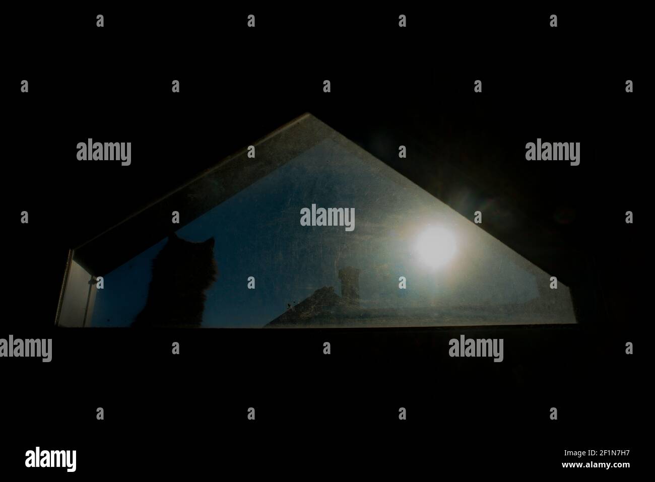 Silhouette einer schwarzen Katze, die den Mond beobachtet Stockfoto