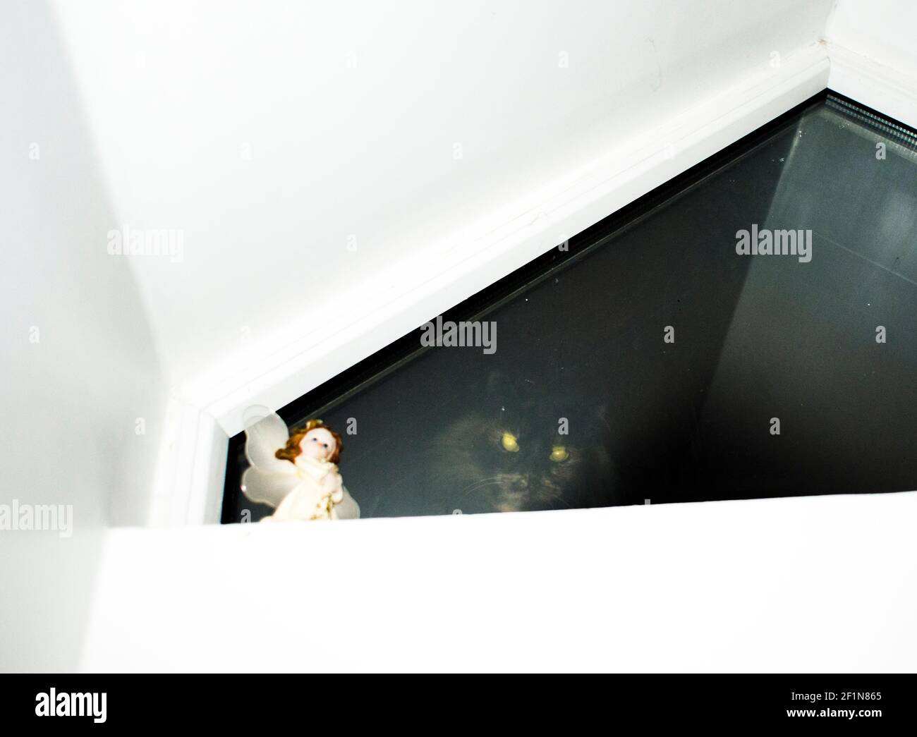 Fee erscheint in der Nacht Stockfoto