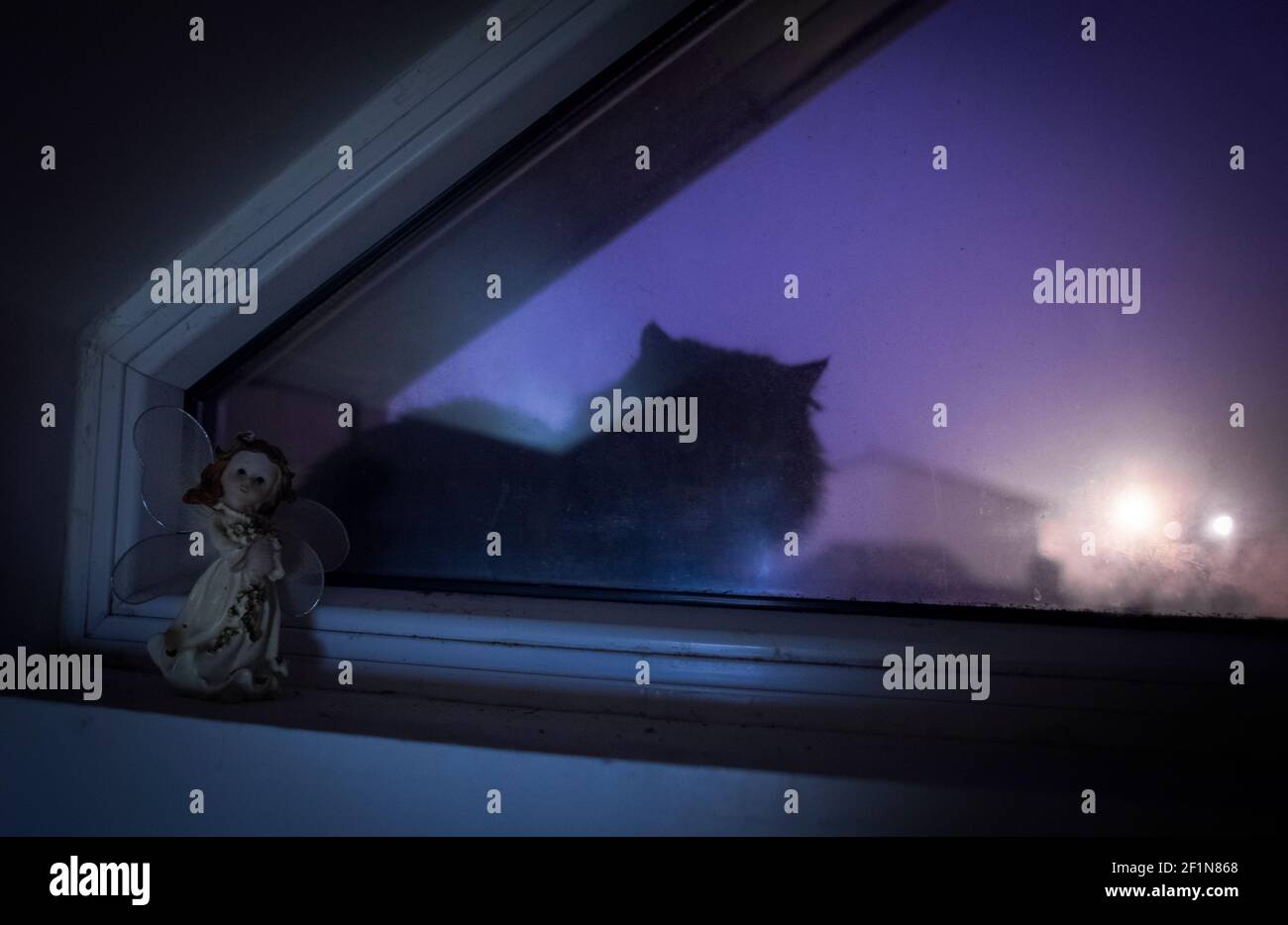 Fee erscheint in der Nacht Stockfoto