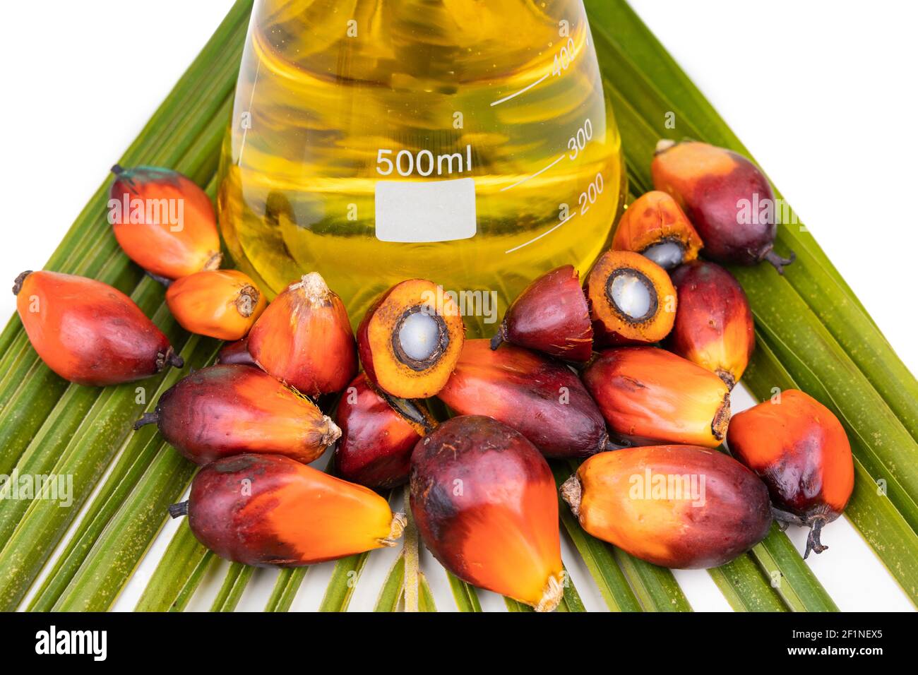 Nahaufnahme von Ölpalmenfrüchten mit Biokraftstoff im Becher Labor Stockfoto