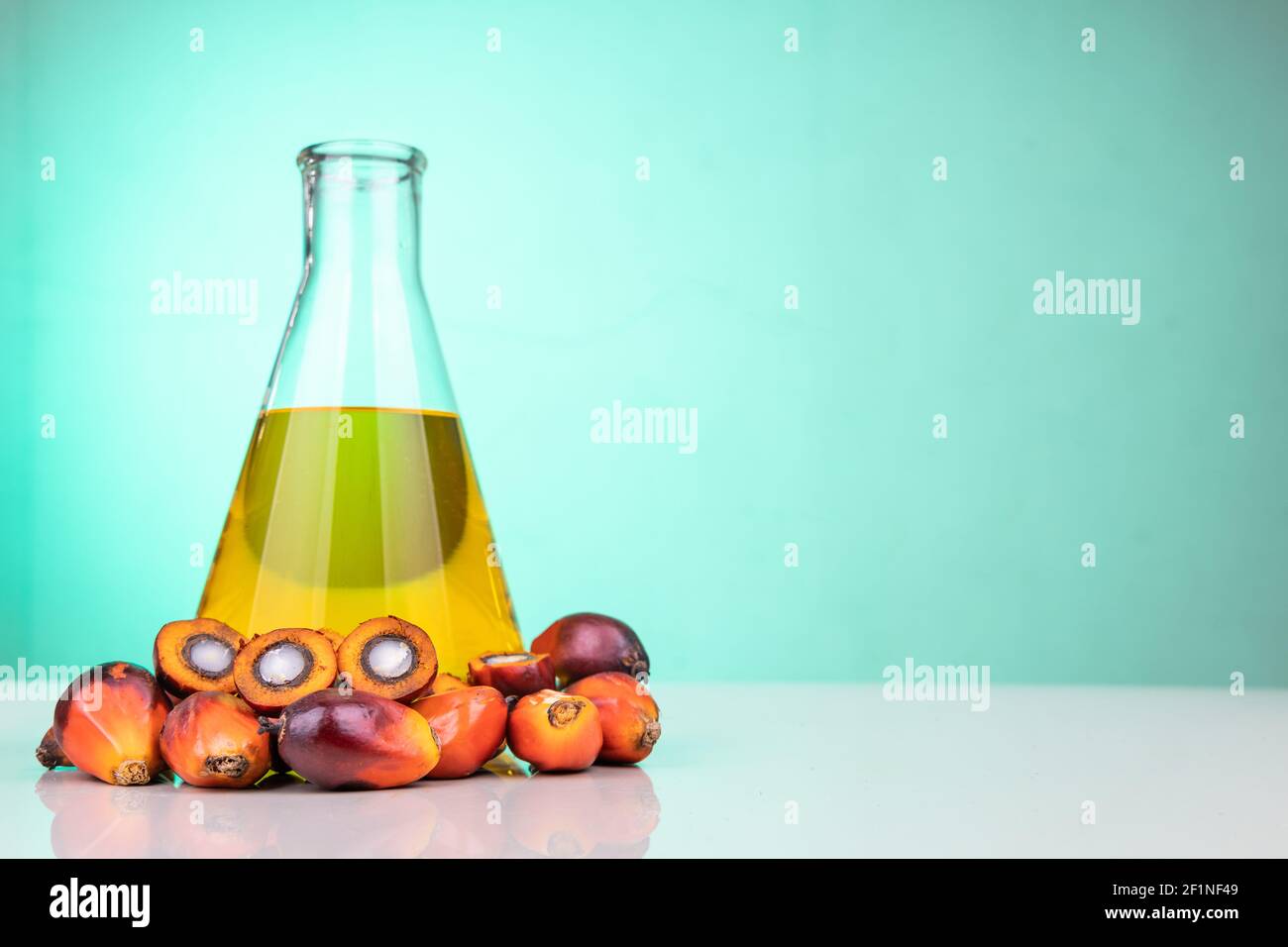 Palmenfrüchte mit Biokraftstoff im Becher im Labor mit Ölen Grüner Hintergrund Stockfoto