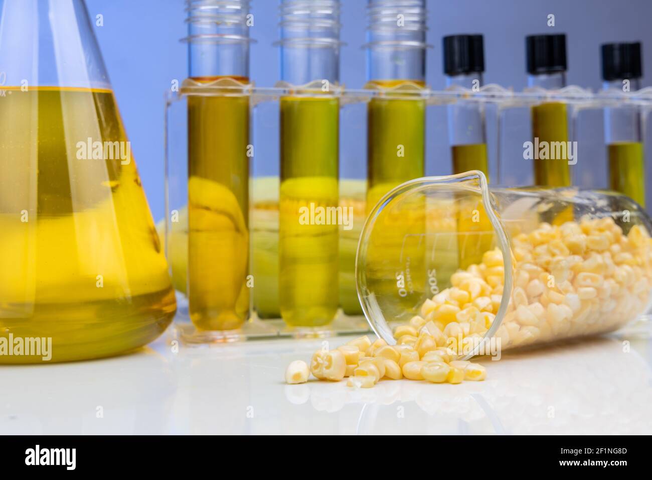 Nahaufnahme von Ethanol Biokraftstoff aus Maislabyrinth mit Becher Reagenzgläser im Labor Stockfoto