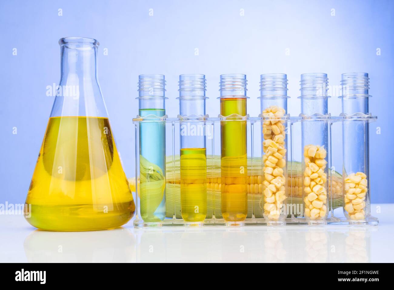 Ethanol Biokraftstoff aus Maislabyrinth mit Bechergrüben gewonnen Und Maiskolben im Labor Stockfoto