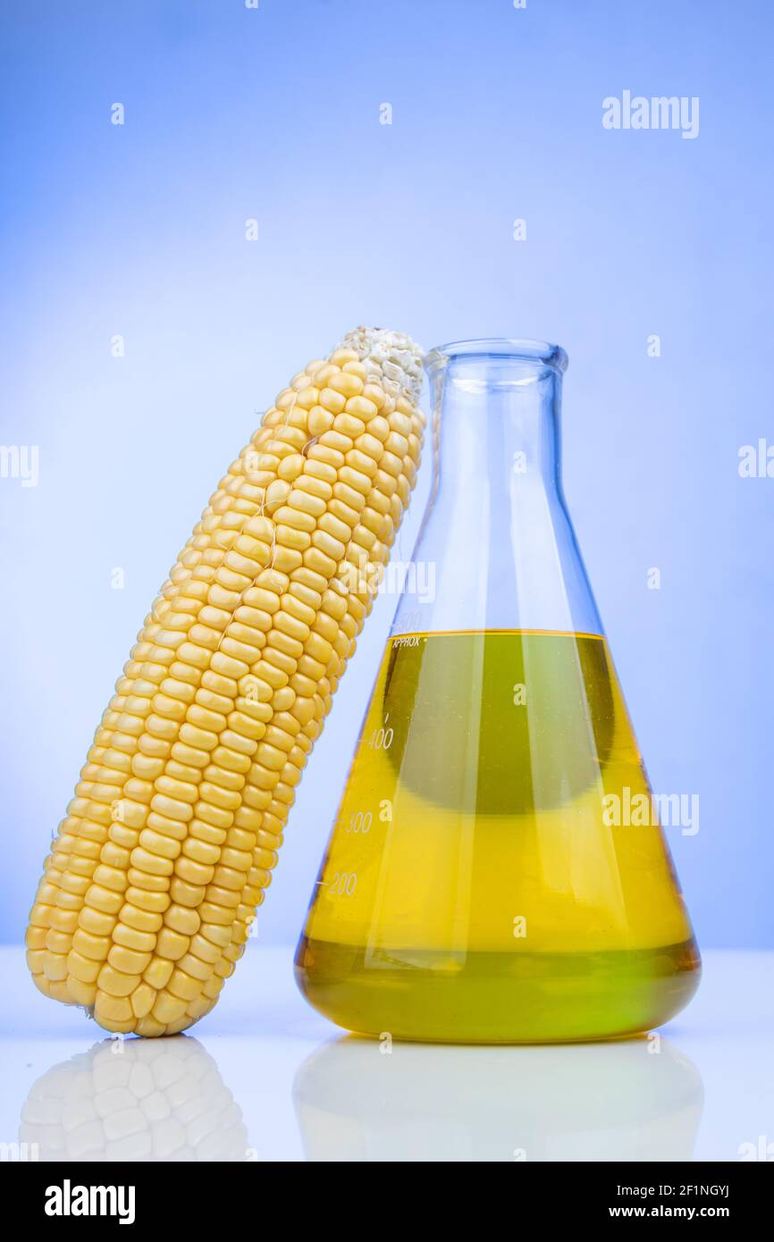 Ethanol Biokraftstoff aus Maislabyrinth mit Becher im Labor abgeleitet Stockfoto
