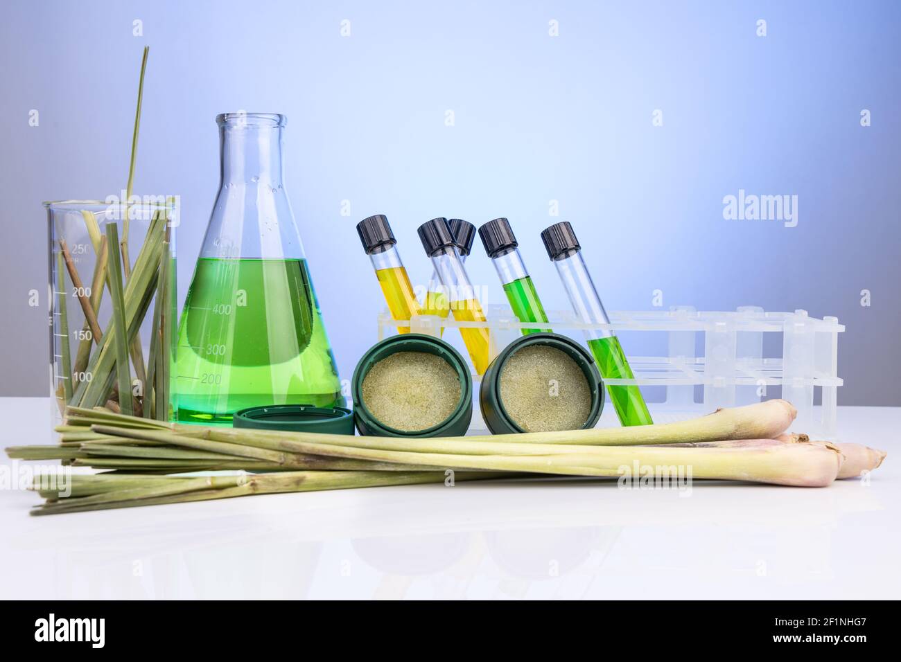 Natürliche Moskitos abweisende Gel aus Zitronengras und anderen Kräutern abgeleitet Mit Reagenzgläsern und Becherglas als Requisite im Labor Stockfoto