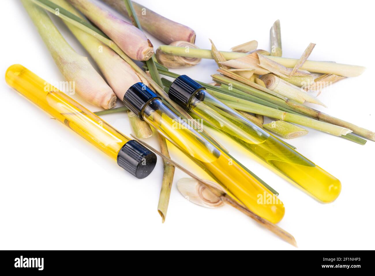 Zitronengras ätherisches Öl-Extrakt mit Reagenzgläsern gegen frische Zitronengraspflanze. Stockfoto
