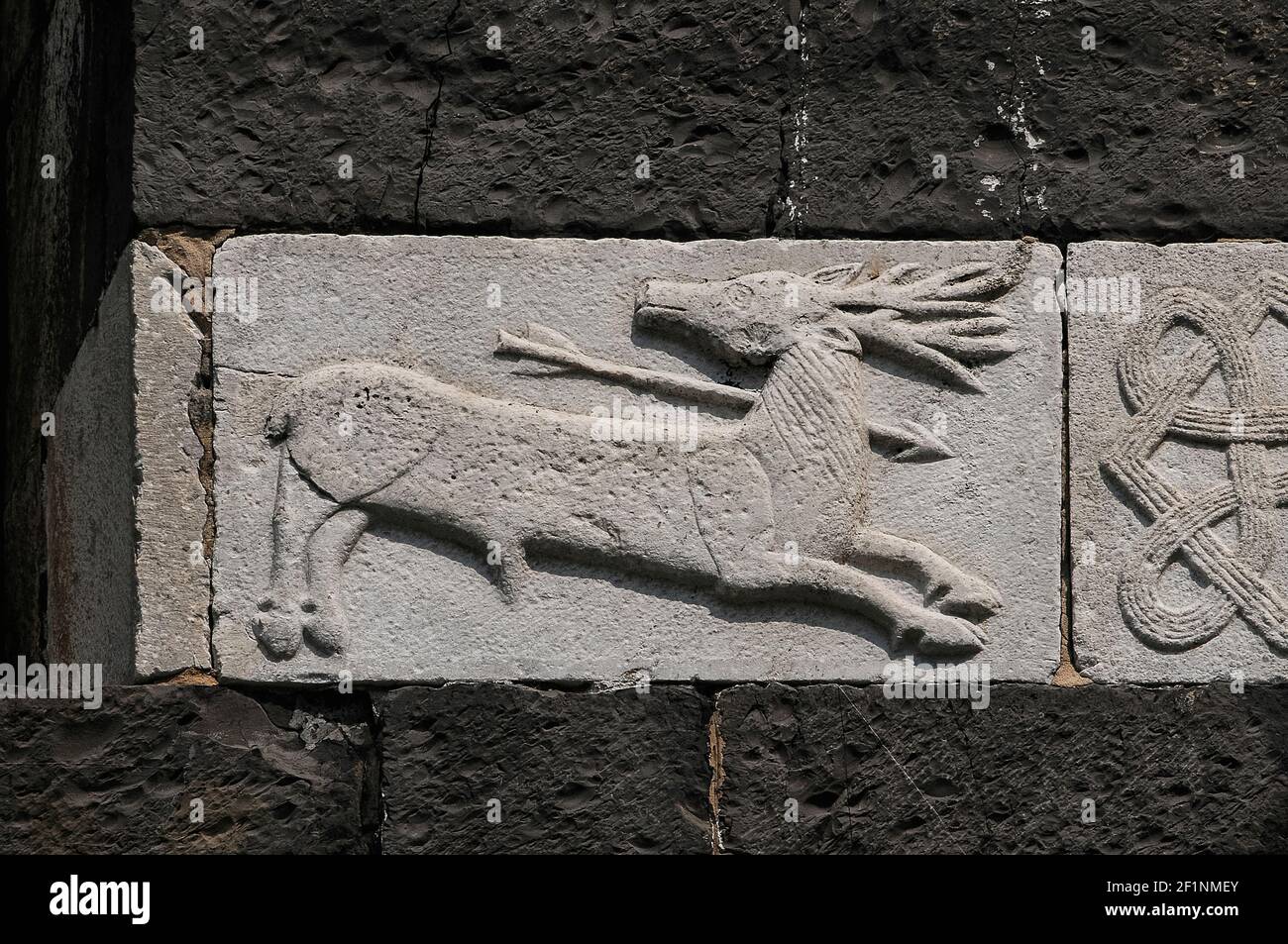 Dieser verwundete Hirsch, dessen Kehle von einem Pfeil durchbohrt wird ...