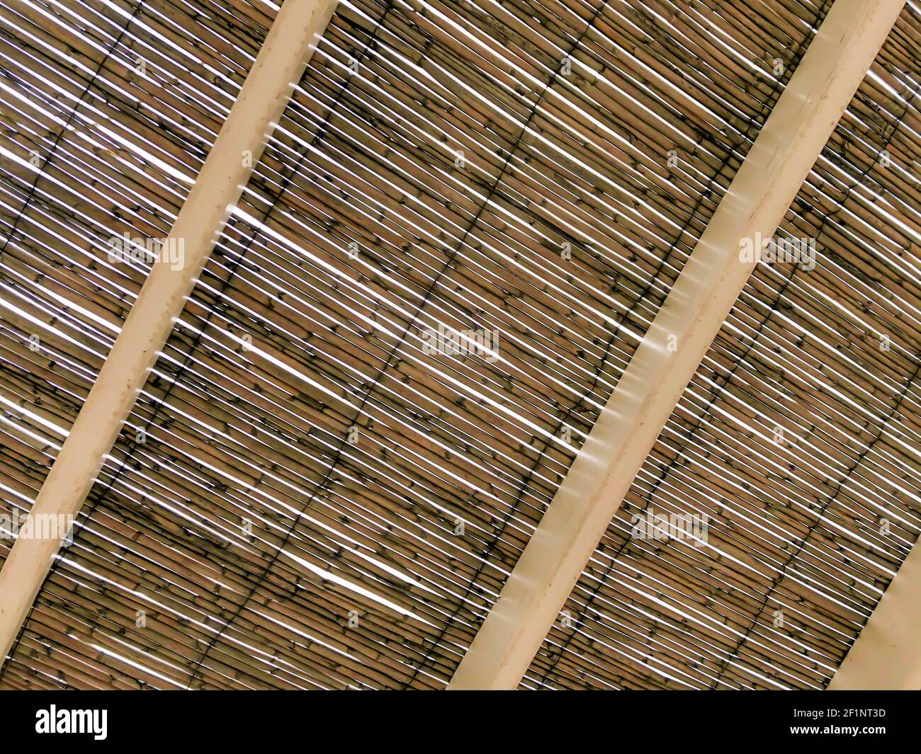 Natürliches Material- und Texturkonzept: Strohdach als Hintergrund. Getrocknete Bambuszweige. Rustikale Dekoration mit tropischem Touch. Brauner Holzschutz Stockfoto