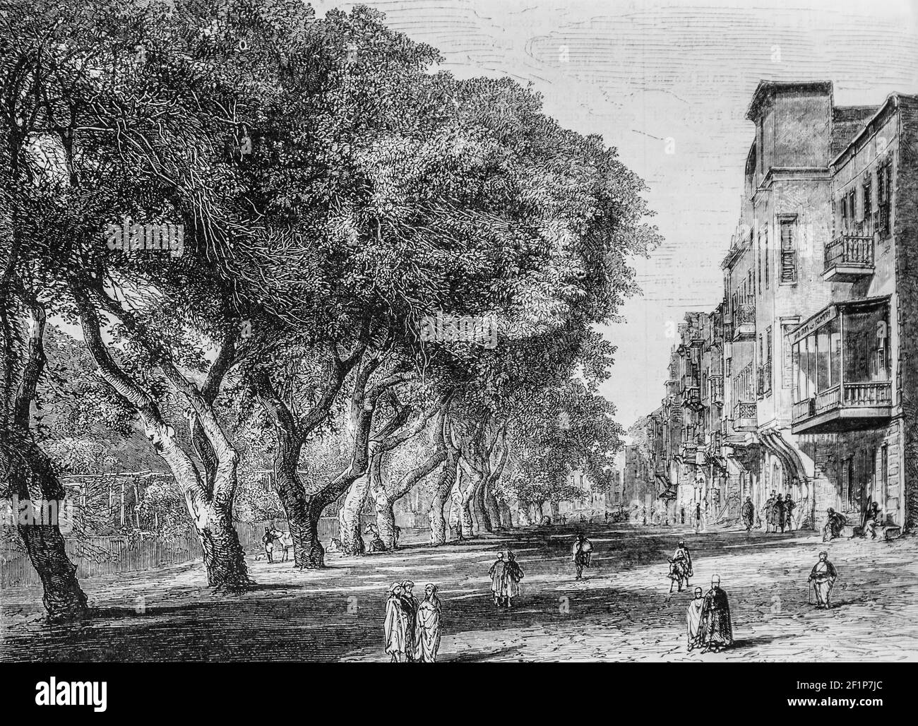 egypte la Place d'esbekieh au caire, l'univers illuste,editeur michele Levy 1869 Stockfoto