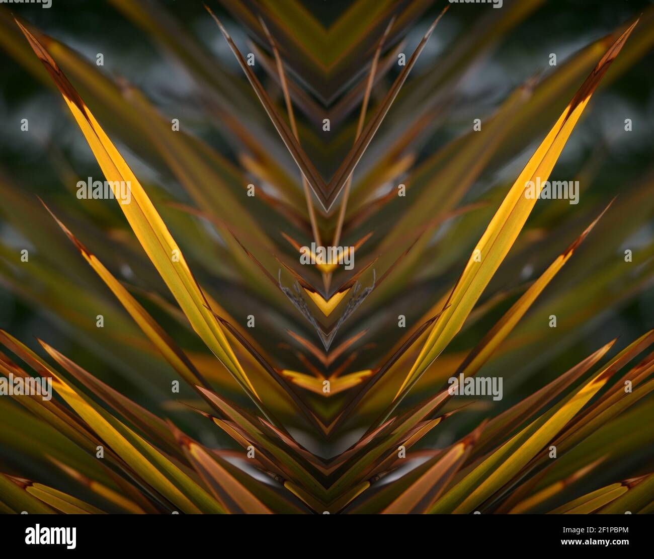 Phormium Tenex (Neuseeland-Flachs) eine mehrjährige Pflanze mit rosset-bronzefarbenen schwertförmigen Blättern auf einer abstrakten Komposition. Stockfoto