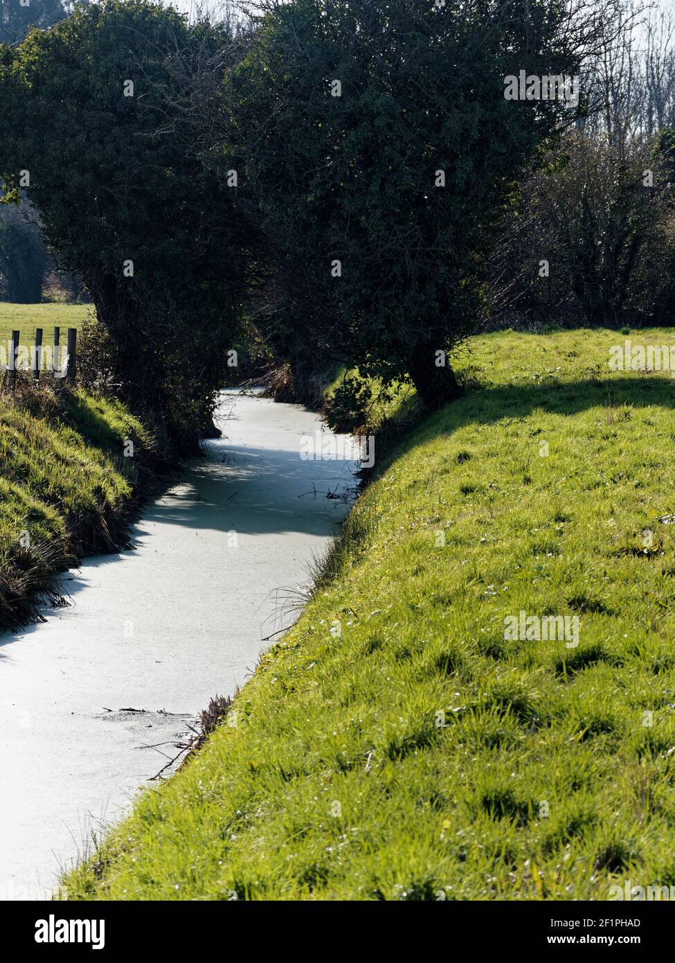 Reen in Nash, Newport, South Wales, Großbritannien Stockfoto