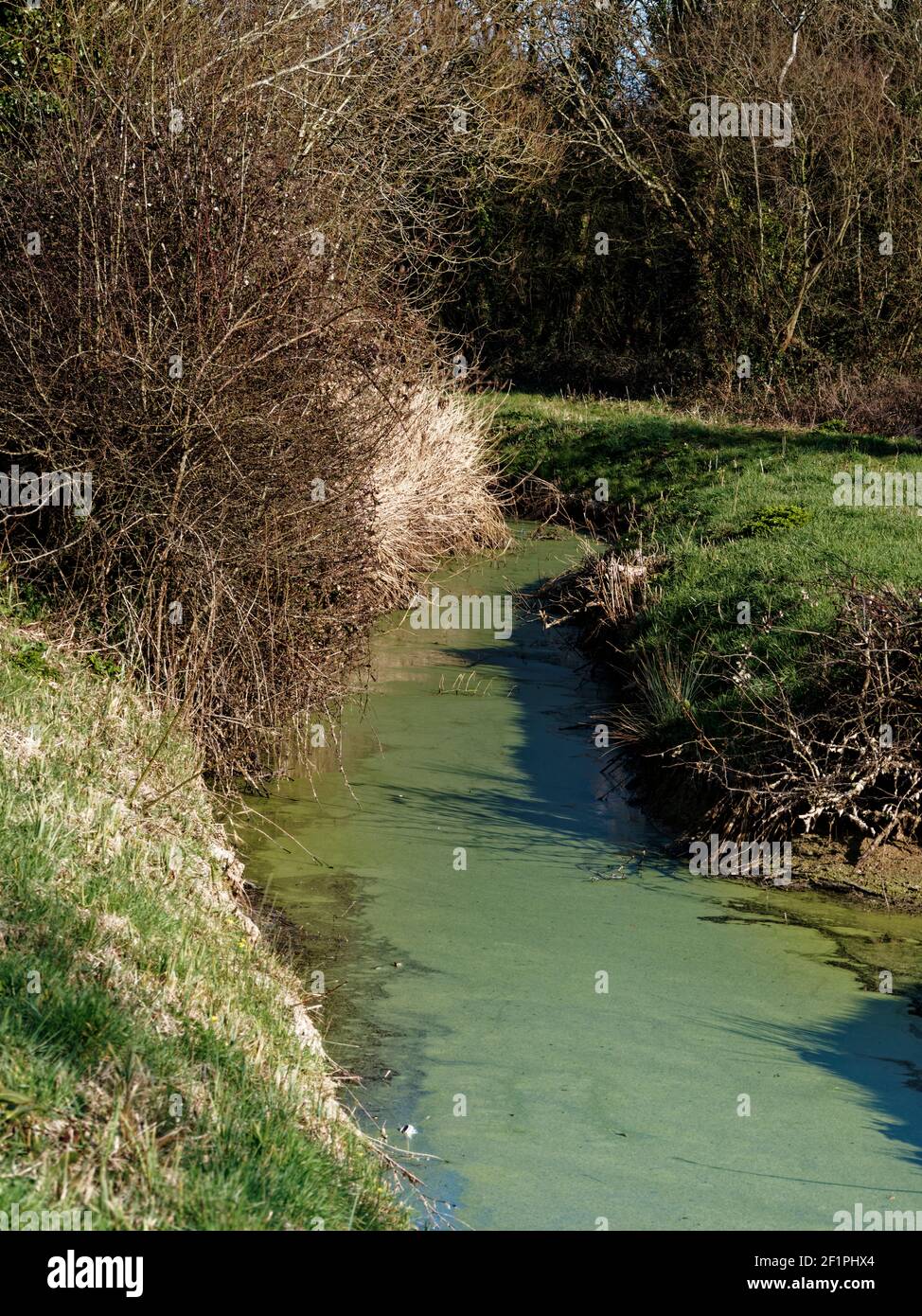 Reen in Nash, Newport, South Wales, Großbritannien Stockfoto