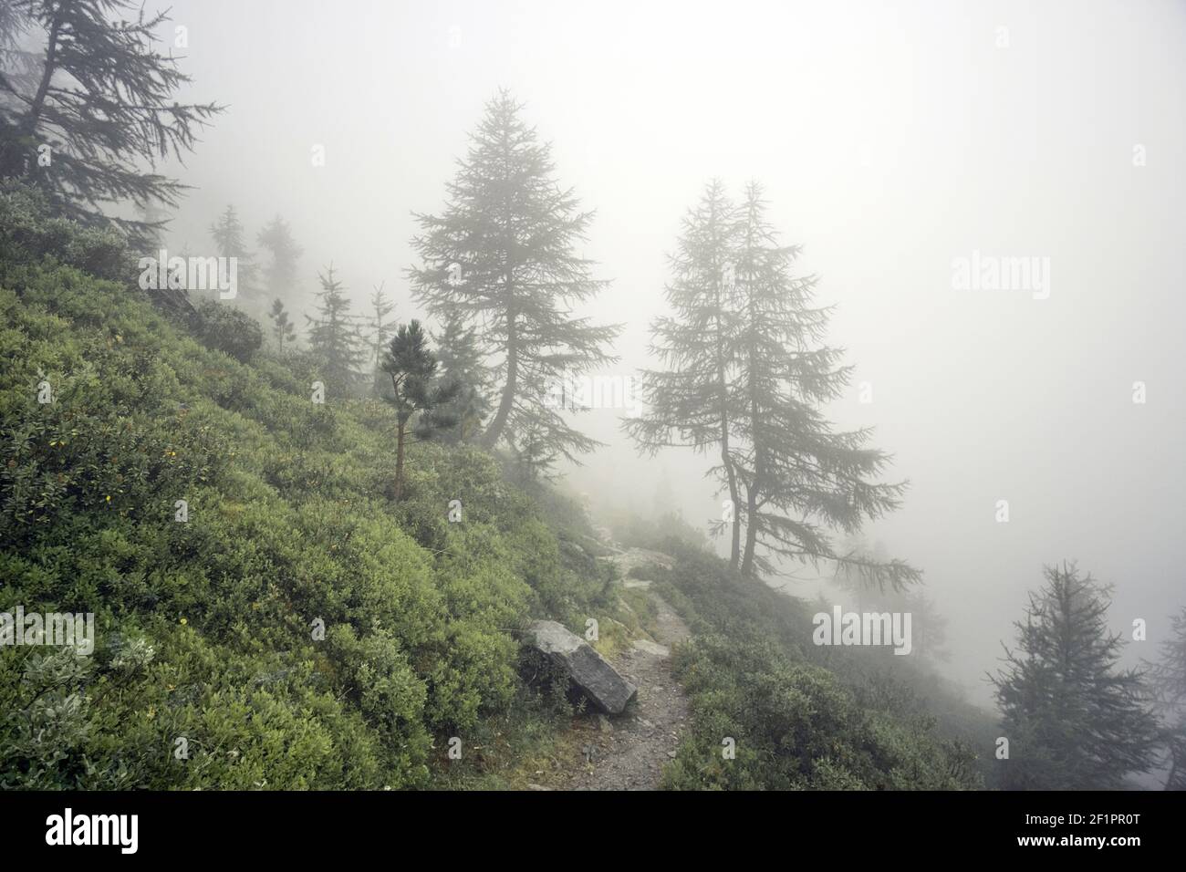 Dichter Nebel bedeckt malerische alpine Berge Stockfoto